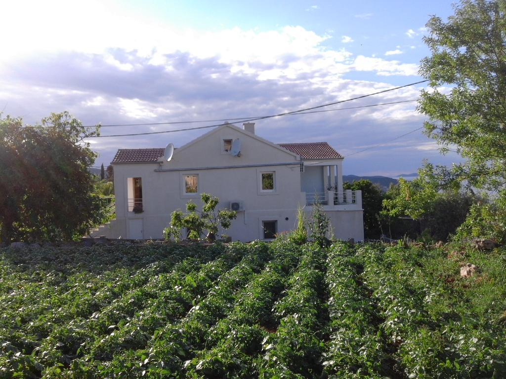 Ruza Sali