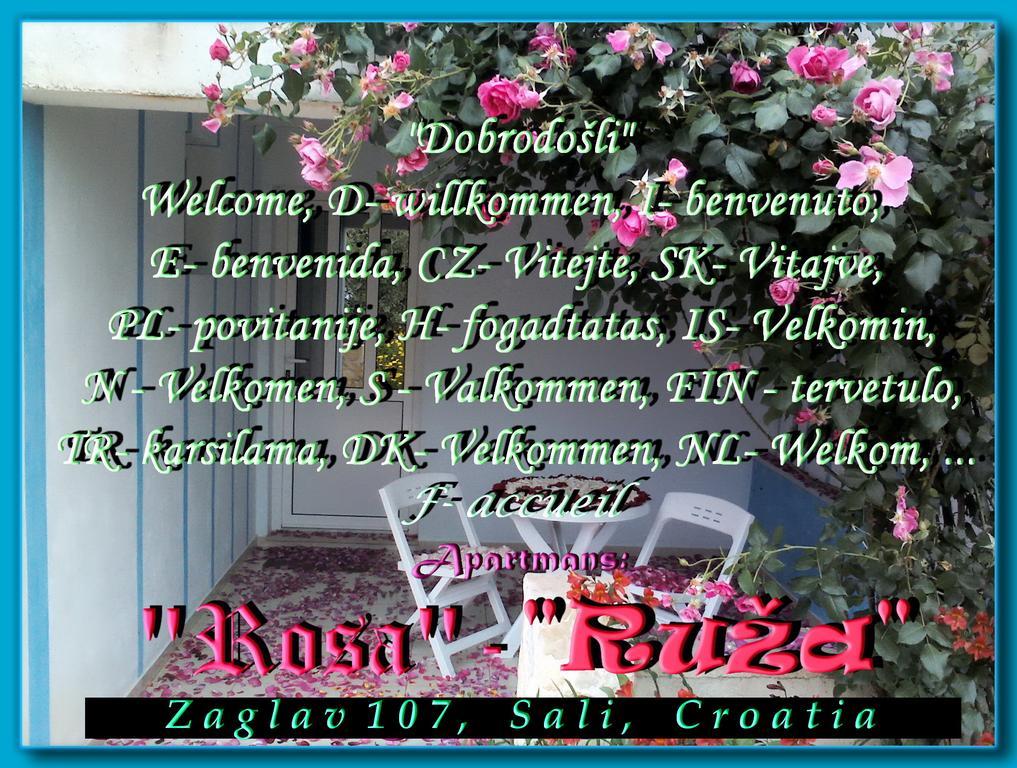 Apartman Ruza *