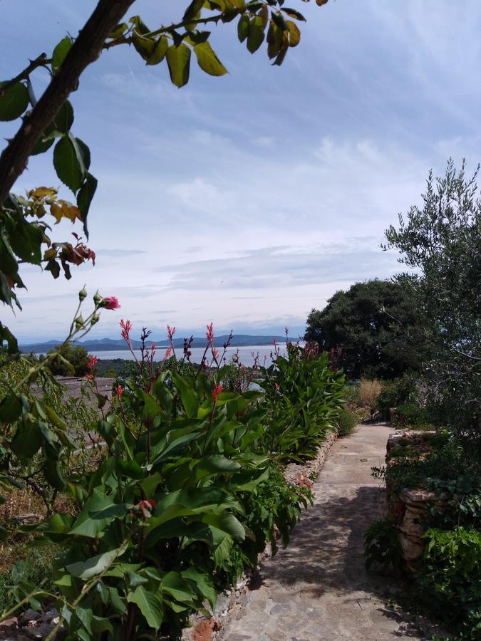 Apartman Ruza Sali